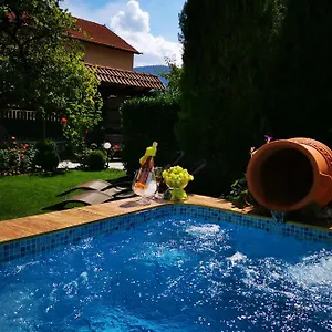 Zigen House Bansko